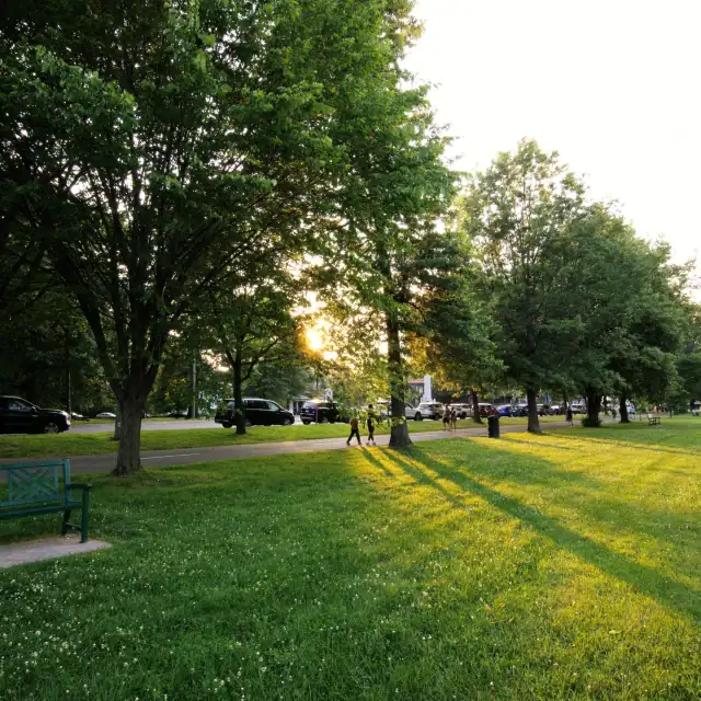 Sunset in a park with green trees, a grassy field, and a bench, casting long shadows on the ground.