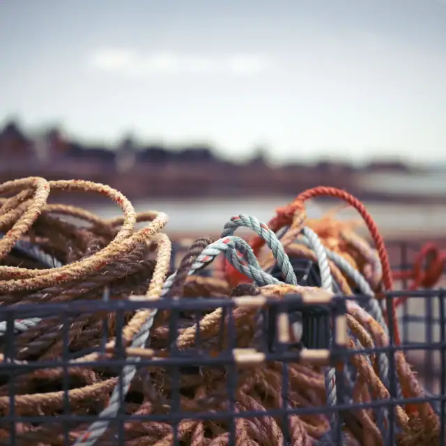 Close-up of tangled ropes in a wire basket on a beach with a blurred shoreline in the background.