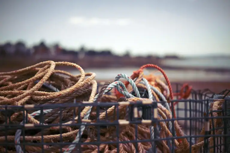 Close-up of tangled ropes in a wire basket on a beach with a blurred shoreline in the background.