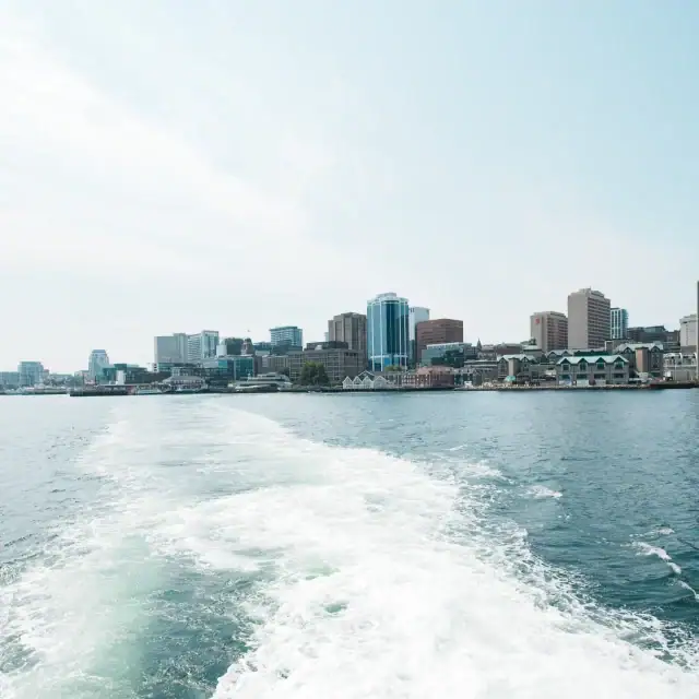 View of a city skyline from the water, with buildings and a clear sky in the background.