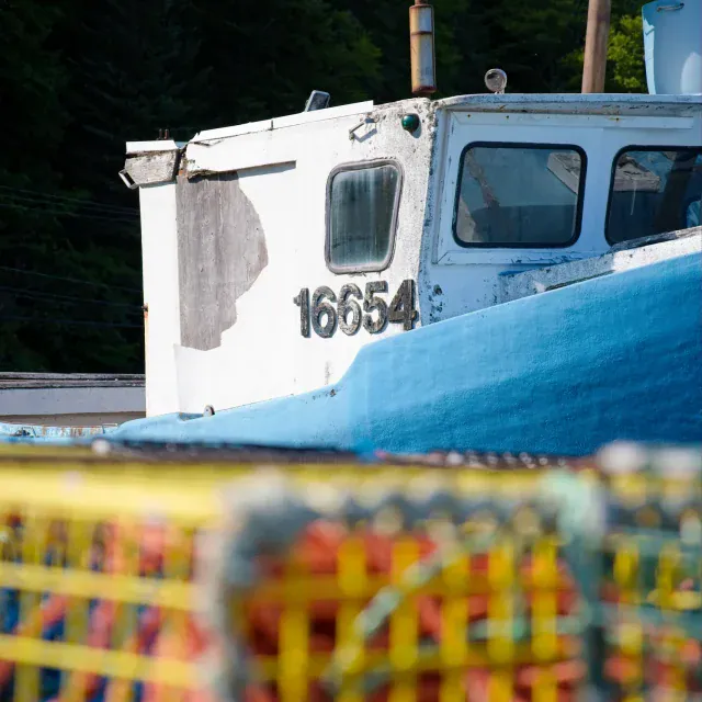 Close-up of a white and light blue fishing boat with the number 16654 on the cabin, foreground shows yellow safety netting, and dark forest background.