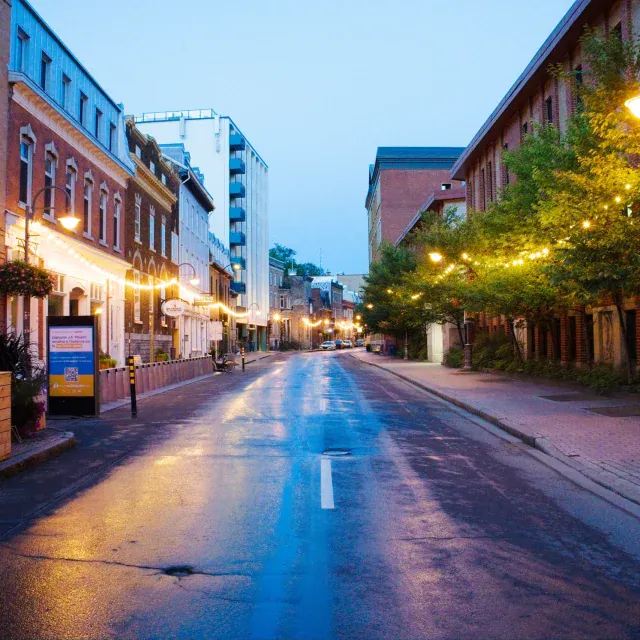 Wet street at dusk with illuminated storefronts and trees, cozy urban atmosphere.