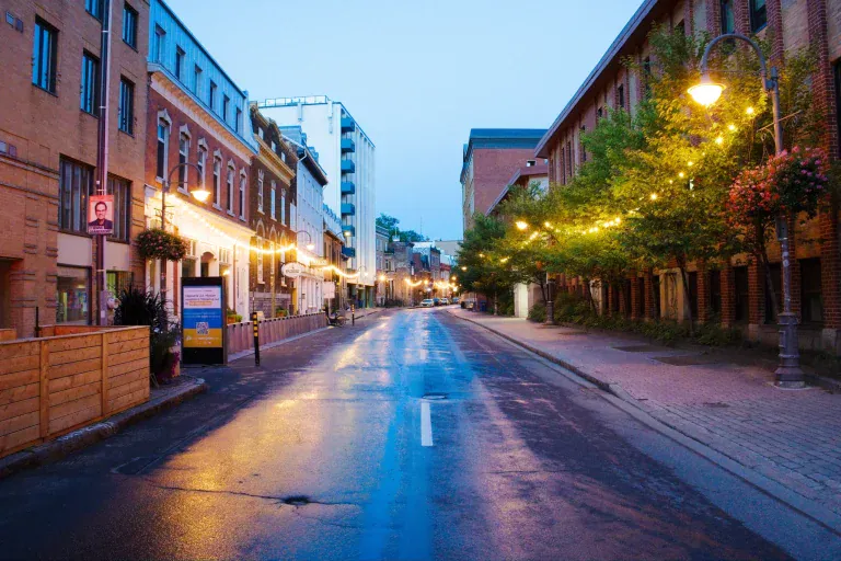 Wet street at dusk with illuminated storefronts and trees, cozy urban atmosphere.